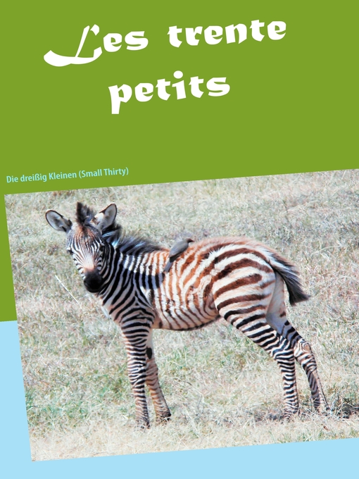 Title details for Les trente petits by JP Bouzac - Available